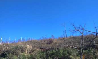 Imagem 5: Lote bairro Santa Matilde Conselheiro Lafaiete MG