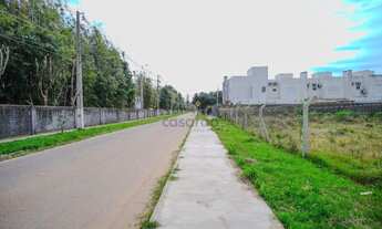 Imagem 2: Terreno à Venda Recanto de Portugal