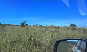 Imagem 4: A&M IMOVEIS VENDE EXELENTE FAZENDA 180HECTARES NA CHAPADA GAUCHA EM BURITIS MG