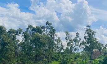 Imagem 7: Terrenos no interior de SP para moradia