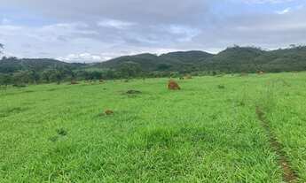 Imagem 5: Alugo pasto para gados e cavalos