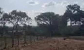 Imagem 3: Área à venda com 48,26 Hectares - Presidente Kennedy - To