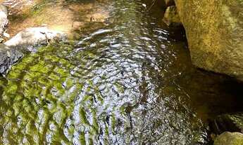 Imagem: Chácara com piscina escriturada