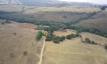 Imagem: Fazenda a venda em Cocalzinho / Girassol