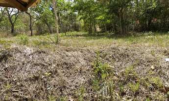 Imagem 6: SÍTIO EM VAGEM BENTO DA COSTA ?ESMERALDAS