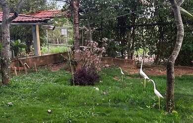 Imagem 3: Vendo ou troco chácara próximo a Lagoinha