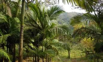 Imagem: Chácara em Adrianópolis - PR - 24.000m2