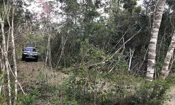 Imagem 2: Vale do Capão - Terreno