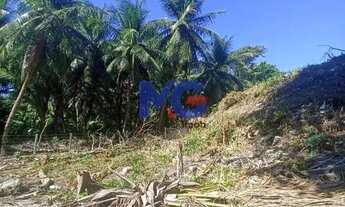 Imagem 7: Excelente Terreno com 4.416,88m² no Bairro Barra do Ceara - Fortaleza -Ce