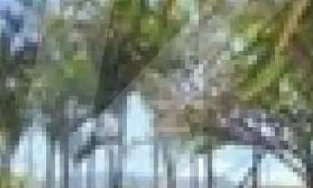 Imagem 2: Apartamento no Lauzane Paulista 03 quartos e 02 vagas