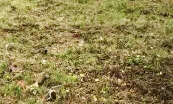 Imagem 2: Terreno aceita financiamento pela caixa