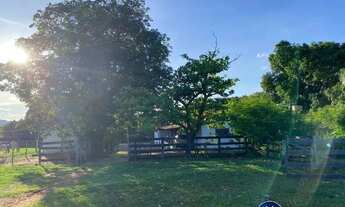 Imagem 4: Fazenda à Venda em Israelândia-GO com 90 Alqueires Dupla Aptidão