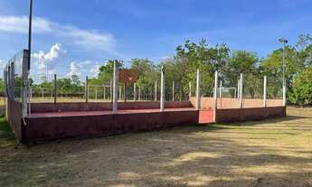 Imagem 4: Chácara na estrada do distrito da Guia com 2 hectares com excelente localização