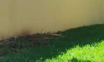 Imagem: Área para venda possui 9.500 metros quadrados