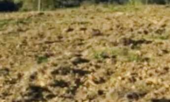 Imagem 4: Terrenos em Araçoiaba da Serra - SP