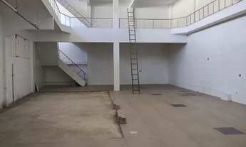 Imagem 3: Galpão - Ramos - 500 m2 - Cód. 1742