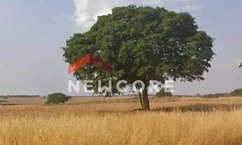 Imagem: Chácara em condomínio em Cruzeiro dos