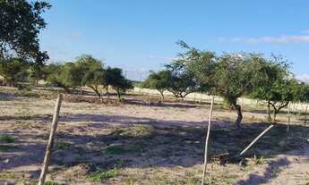 Imagem 2: Terreno Terreno / lote com venda por R$18.000