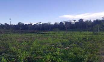 Imagem 5: Fazenda com 280 hectares em Rorainópolis/RR, ler descrição do anuncio