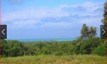 Imagem 4: Bela Propriedade em Praia Bela - Paraíba - com 10 ha