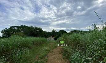 Imagem: Fazenda em Cristalandia. 40 mil por alqueire