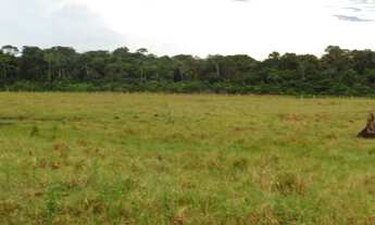 Imagem 7: Sitio Com 86 Hectares 50 x 2000, 40 Hectares Aberto