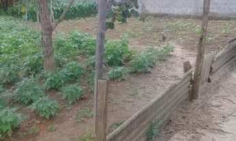 Imagem 6: Ponte Alta Norte Rua dos Pinheiros 400m² murado R$ 110.000