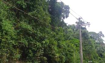 Imagem 2: Lote/Terreno para venda com 838 metros quadrados em Feiticeira - Ilhabela - SP