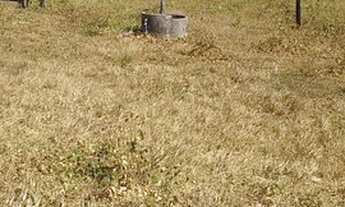 Imagem 7: Fazenda para venda com 98 alqueires em Barra dos Garças -Mt