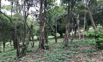 Imagem 5: Oportunidade !! Baixou o Preço<br>Terreno 3.120m². Financiamento Caixa Legalizado RG