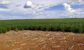 Imagem 5: FAZENDA À VENDA EM PARANATINGA - MT - 8.000 HECTARES (DUPLA APTIDÃO