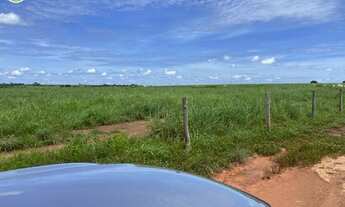 Imagem 7: FAZENDA À VENDA EM SANTA RITA - TO - 2.420 HECTARES (DUPLA APTIDÃO