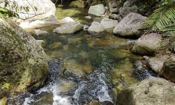 Imagem 6: Terreno 10.000m2 em Nova Iguaçu Tíngua - Sitio a Venda