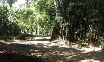 Imagem 4: Terreno 10.000m2 em Nova Iguaçu Tíngua - Sitio a Venda