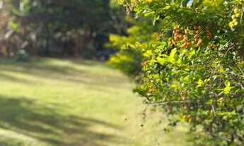 Imagem 2: Belíssima chácara com piscina