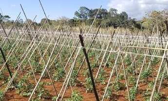 Imagem 4: Chácara Medindo 10.000 m² , Por apenas R$ 109.000mil