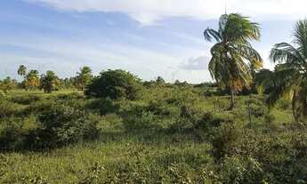Imagem 5: VENDO FAZENDA NA CIDADE DE TOUROS