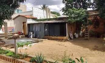 Imagem 2: Arniqueiras: Lote 289 m2, planinho/semi murado, colado P.Way ( QUIT.TERRACAP) Quem vê com