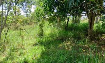 Imagem 4: Terreno rural 7.8ha,casa,barracão,arvores frutíferas,2 nascentes,2 lagoas, Jaboticatubas