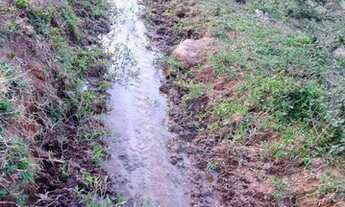 Imagem 4: Chácara em Mimoso do Sul pronta para produção de café