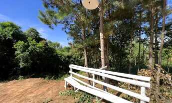 Imagem 3: Vendo um Sítio com riacho 100 metros da RS 020