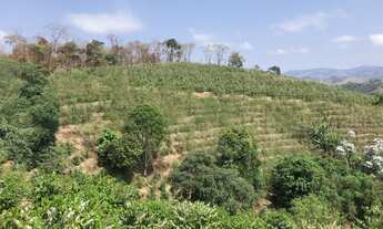 Imagem 5: Sítio a venda Chácara com venda por R$250.000