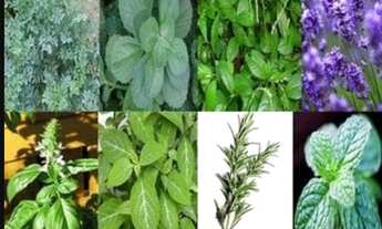 Imagem 6: Apto para venda possui 48 m² com 2 quartos em Sacomã - São Paulo - SP