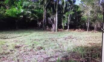 Imagem 3: Sítio com Ilha e rio