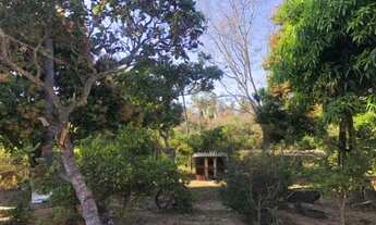 Imagem 5: Lindo sitio de 5.200 m² córregos nos fundos, nascente, Jaboticatubas