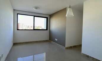 Imagem 2: Terra Brasilis oportunidade 319 mil