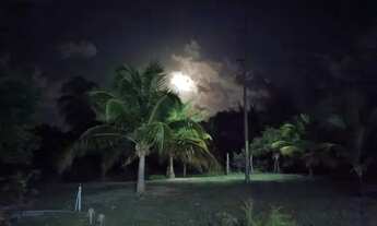 Imagem 4: VENDO FAZENDA NA CIDADE DE TOUROS