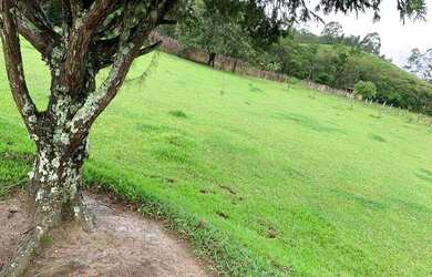 Imagem 5: EC - Vendo Terreno para Lazer e Tranquilidade, Venha Conferir !!