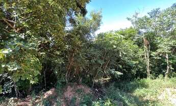 Imagem 7: Vendo um Sítio com riacho 100 metros da RS 020