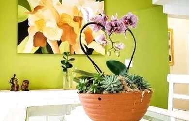 Imagem 6: Apartamento com 3 dormitórios à venda, 80 m² por R$ 580.000 - Centro - Peruíbe/SP